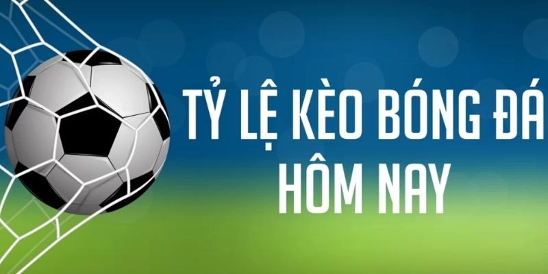 Giải mã khái niệm tỷ lệ kèo là gì trong lĩnh vực cá cược